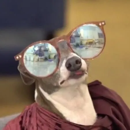 Christopher Morrison